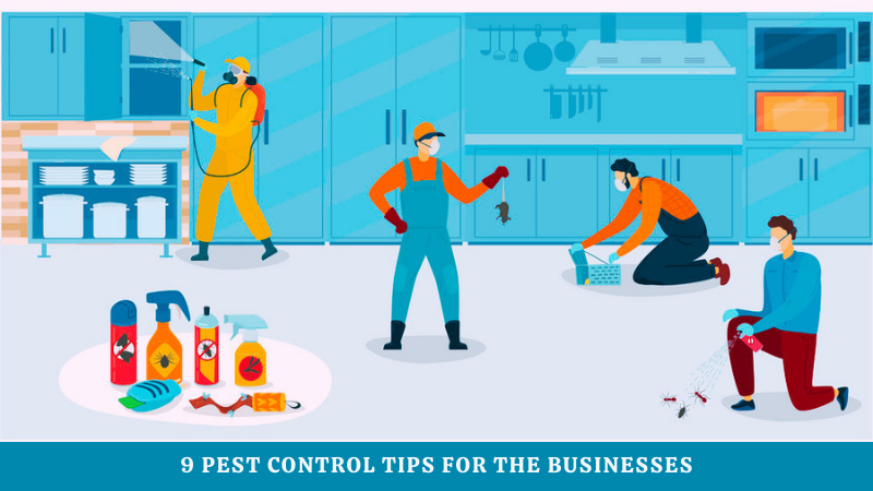 9 Pest Control Tips for the Businesses